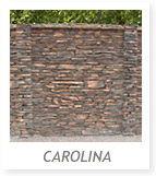CAROLINA